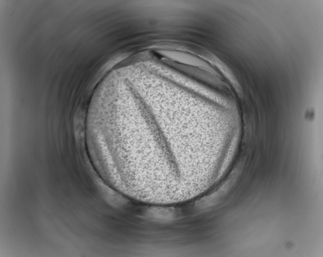 X0000100951049200807221116