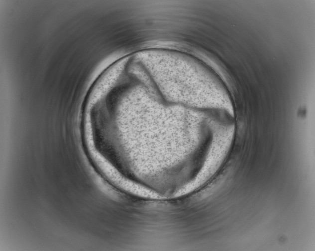 X0000100951050200807221116