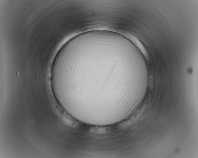 X0000100951051200807221116