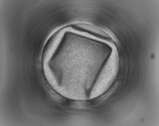 X0000100951052200807221116