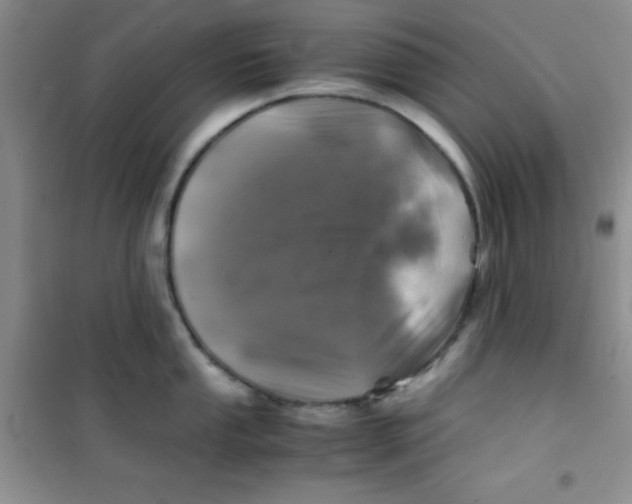 X0000100951053200807221116