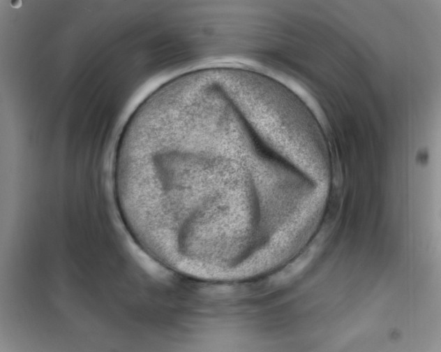 X0000100951054200807221116