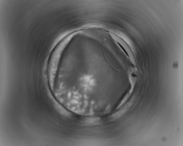 X0000100951055200807221116