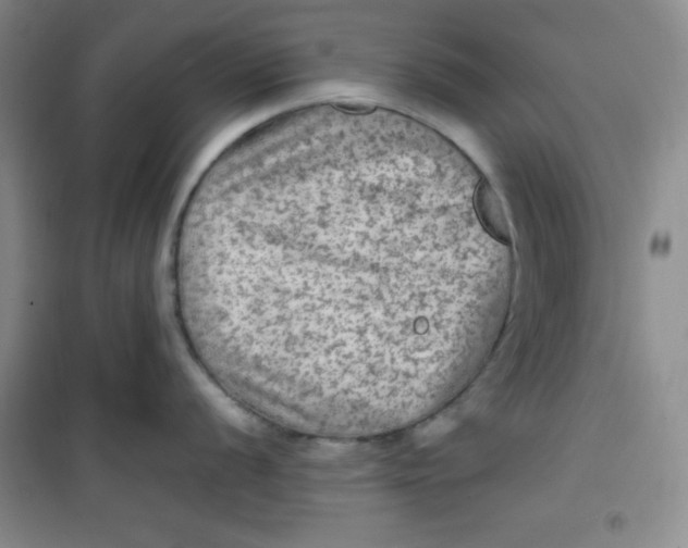 X0000100951056200807221116