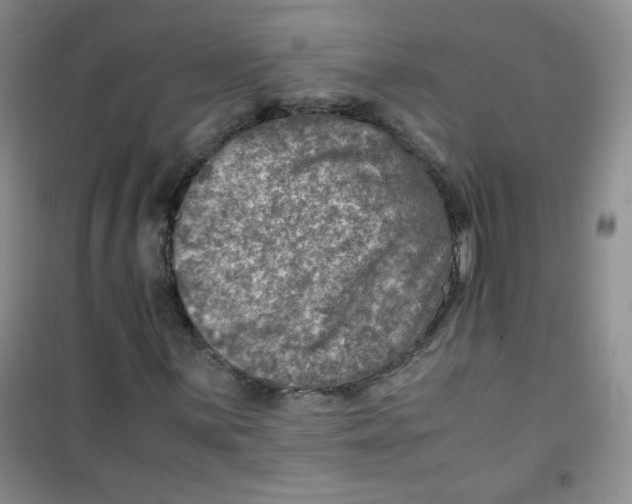 X0000100951059200807221116