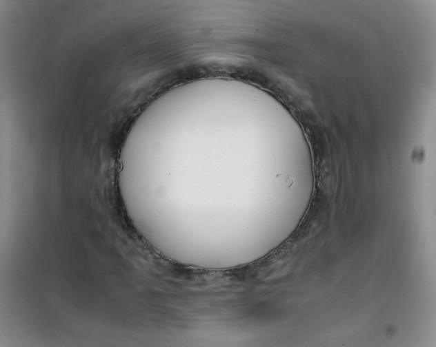 X0000100951061200807221116