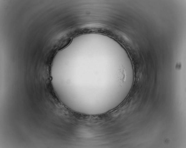 X0000100951062200807221116