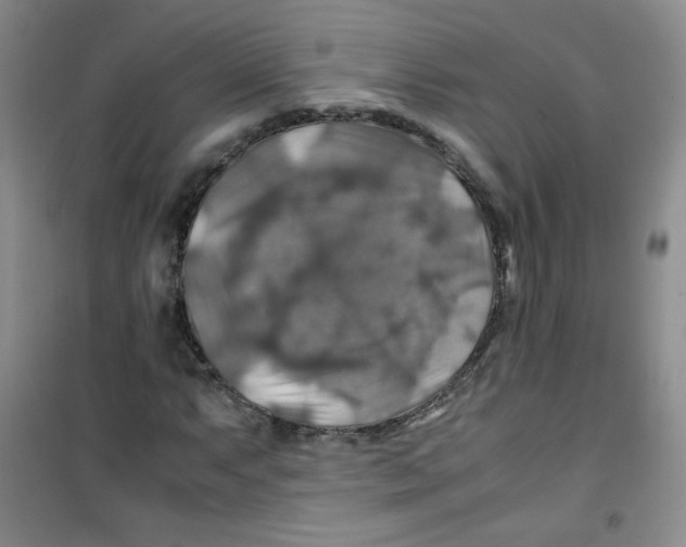 X0000100951063200807221116