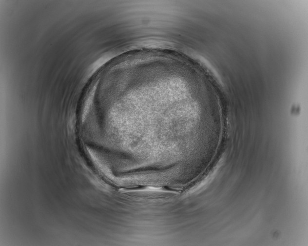 X0000100951065200807221116