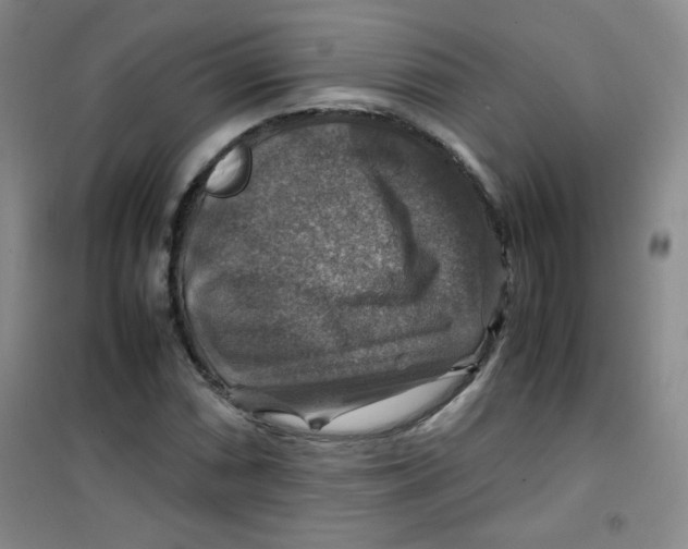 X0000100951066200807221115