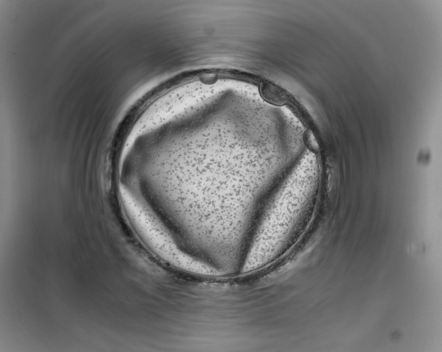 X0000100951069200807221115