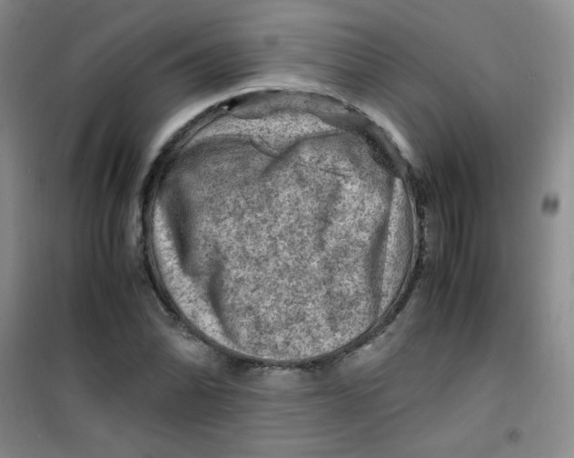 X0000100951070200807221115