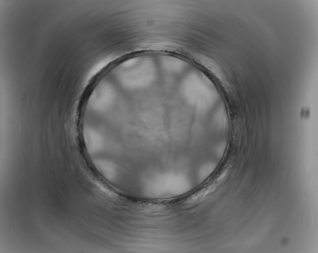 X0000100951071200807221115