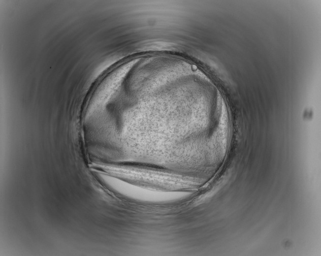 X0000100951073200807221115