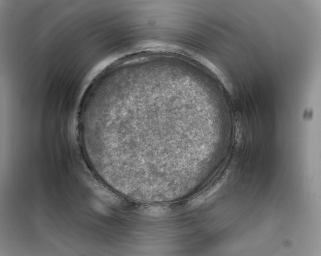 X0000100951074200807221115