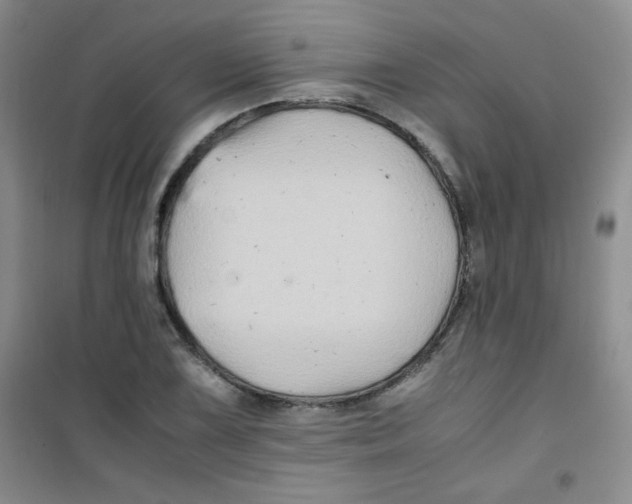 X0000100951075200807221115