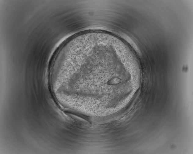 X0000100951076200807221115