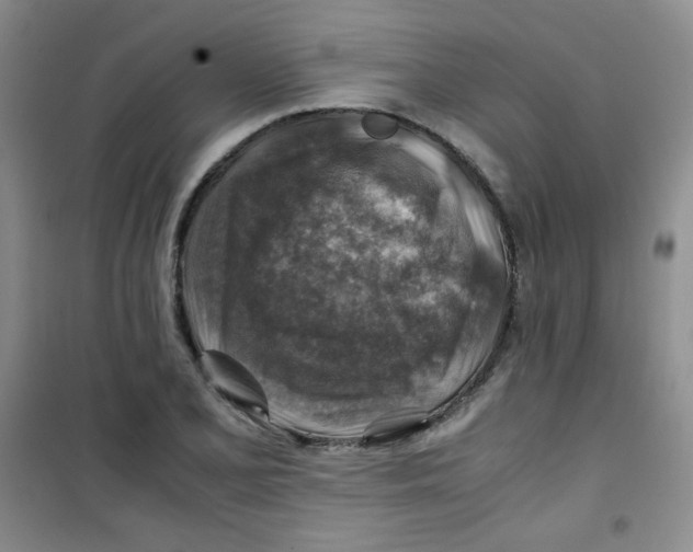 X0000100951077200807221115