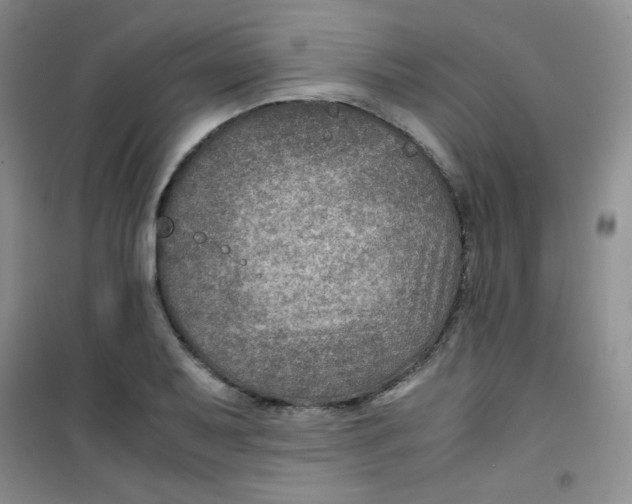 X0000100951079200807221115