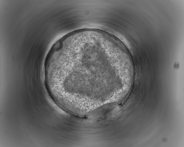 X0000100951080200807221115