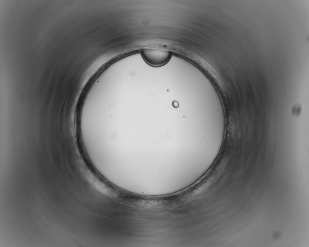 X0000100951082200807221115