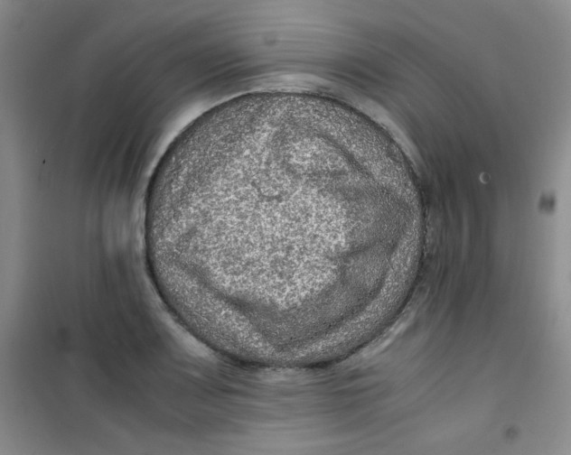 X0000100951083200807221115