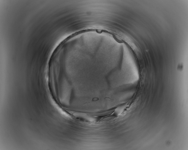 X0000100951084200807221115