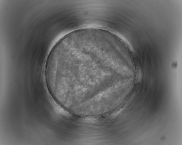 X0000100951086200807221115