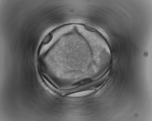 X0000100951088200807221115