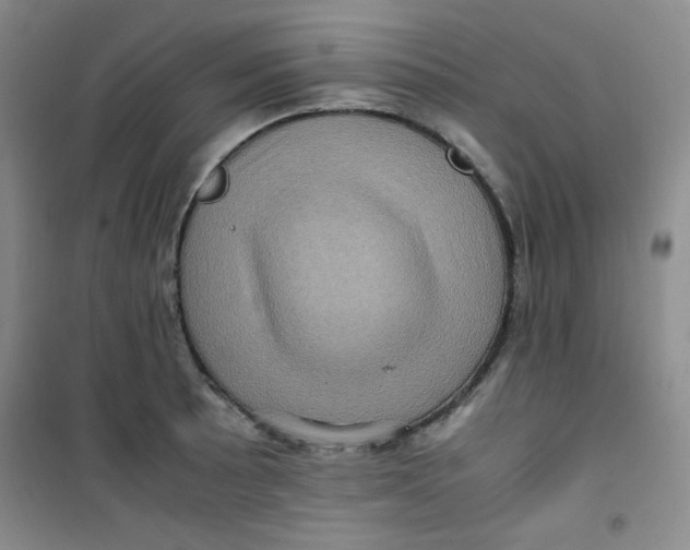 X0000100951089200807221115