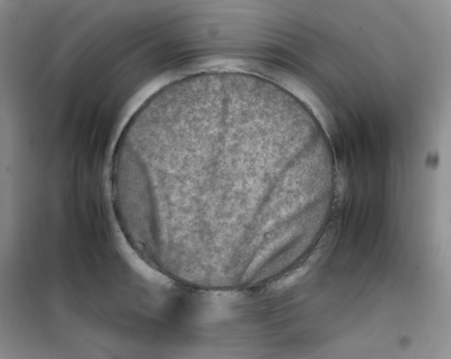 X0000100951090200807221115