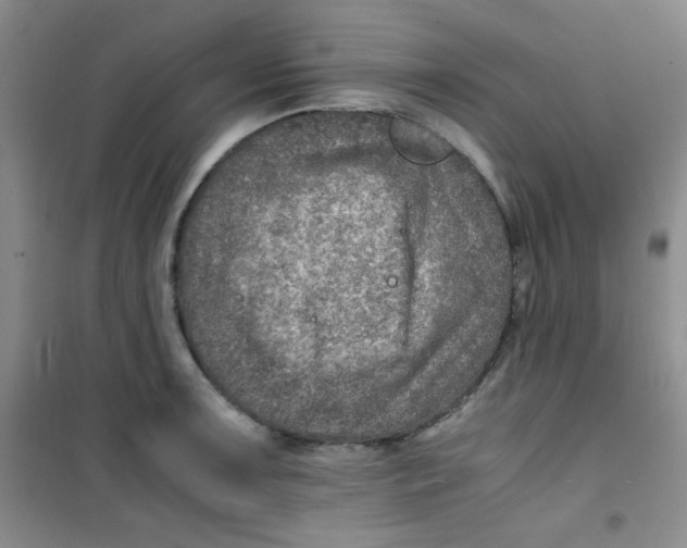 X0000100951091200807221115