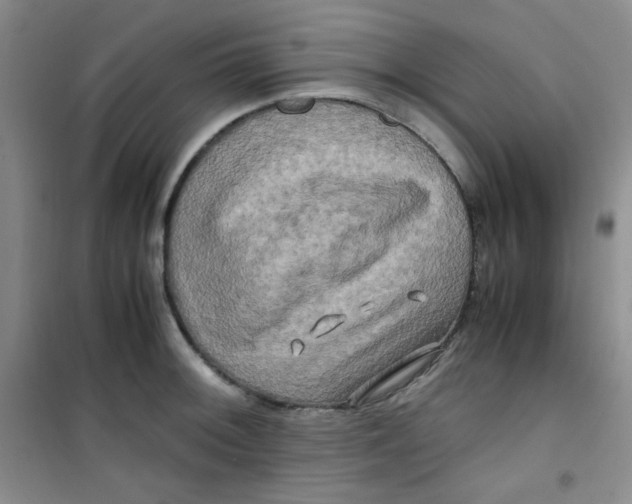 X0000100951092200807221115