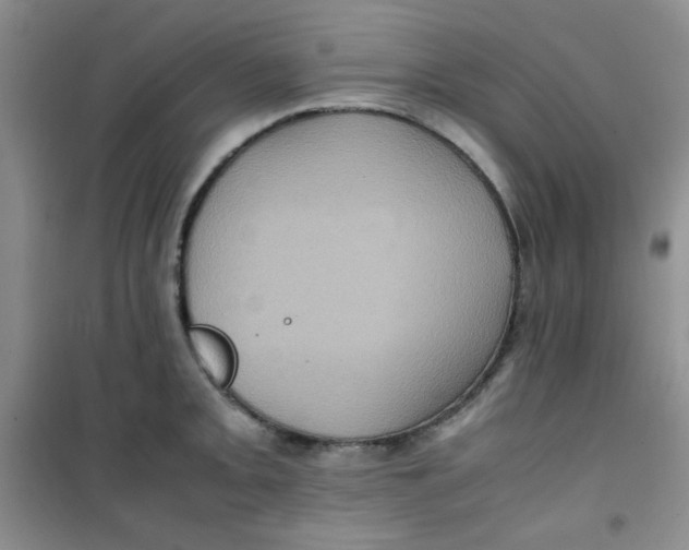 X0000100951093200807221115