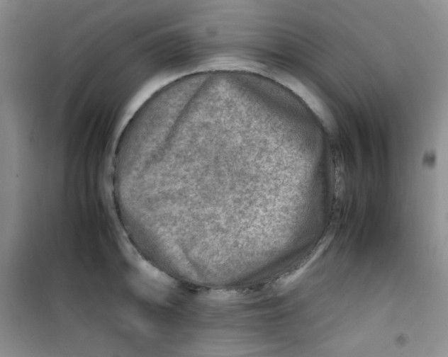 X0000100951094200807221115