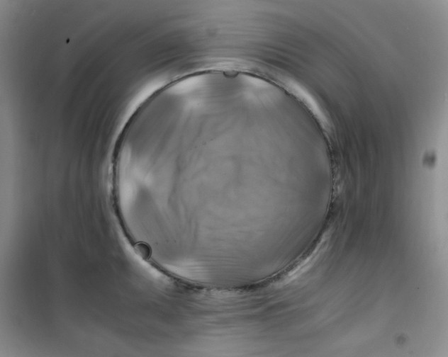 X0000100951095200807221115