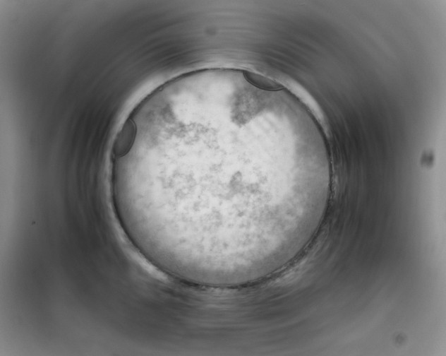 X0000100951096200807221115