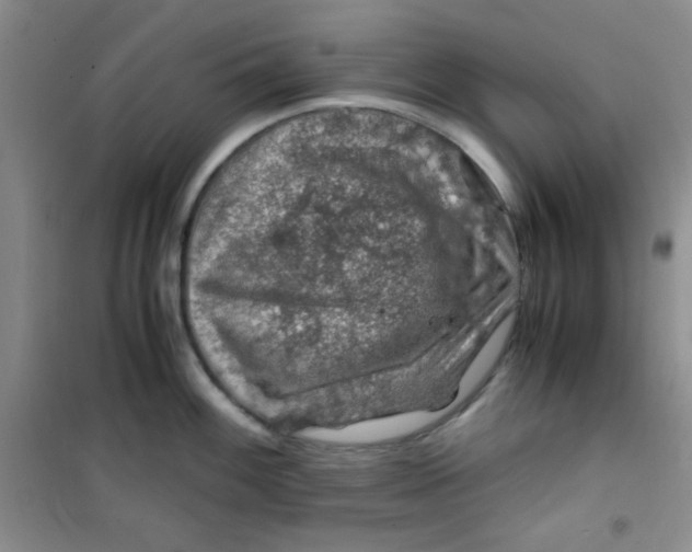 X0000100951100200807221115