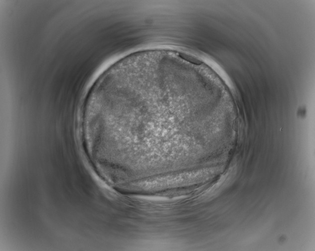 X0000100951101200807221115