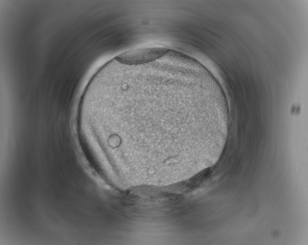 X0000100951104200807221115