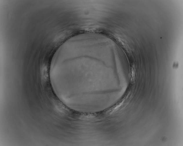 X0000100951106200807221114