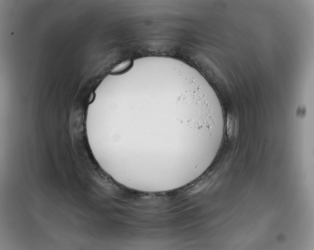 X0000100951107200807221114