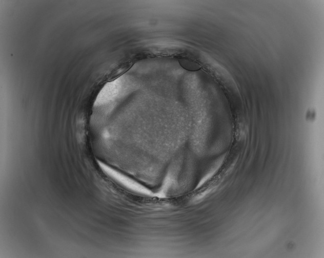 X0000100951108200807221114