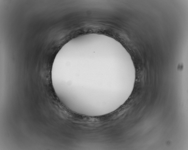 X0000100951109200807221114