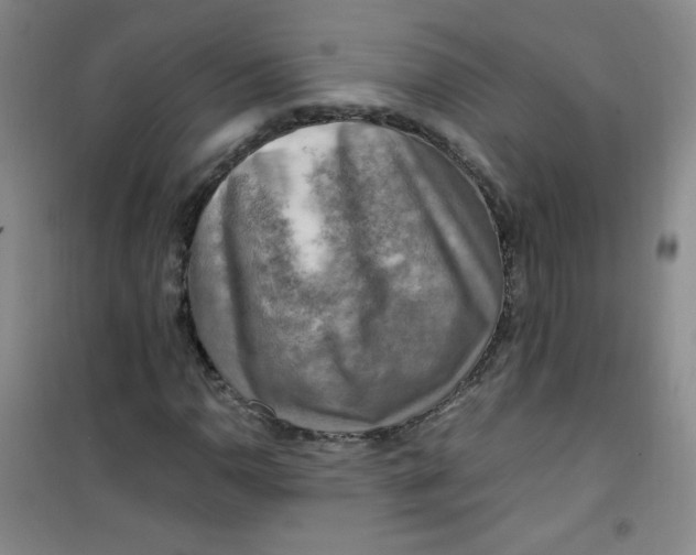 X0000100951110200807221114