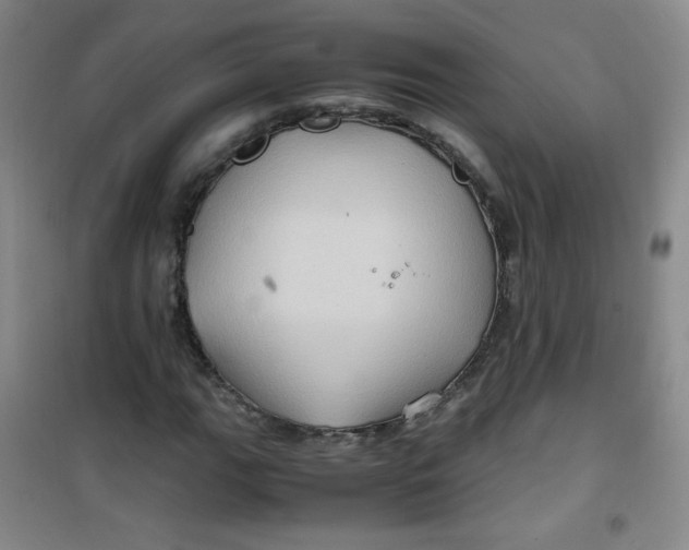 X0000100951111200807221114