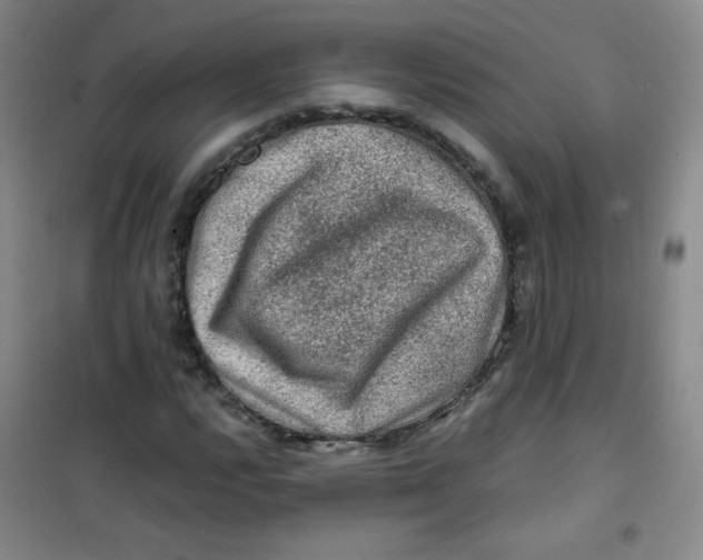 X0000100951112200807221114