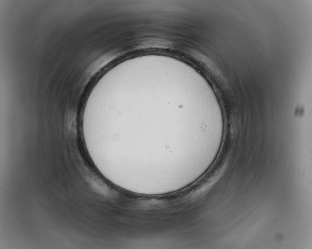 X0000100951113200807221114