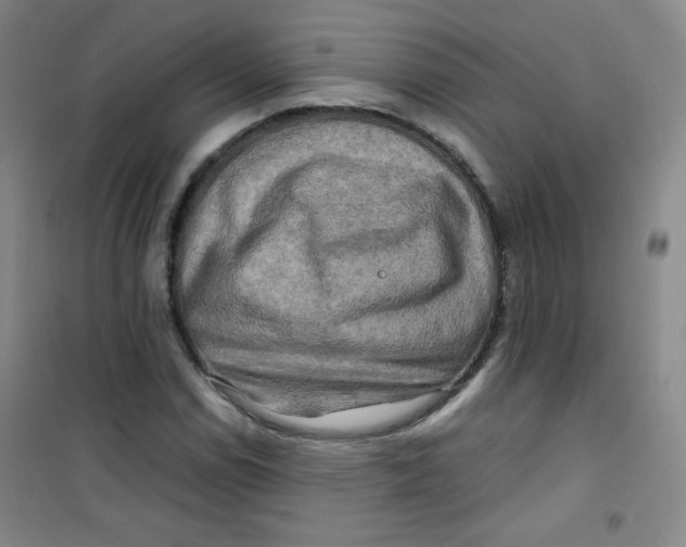 X0000100951114200807221114