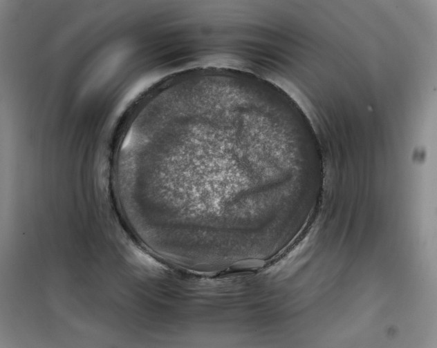 X0000100951115200807221114